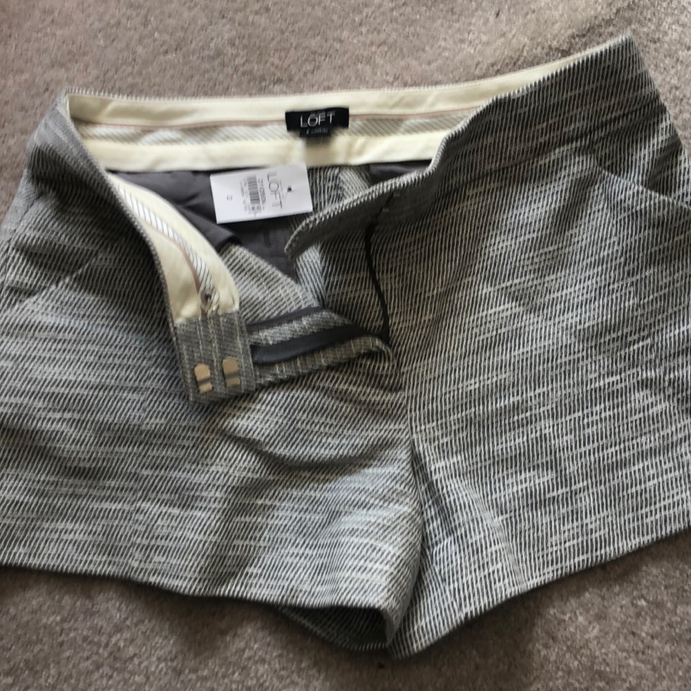 Loft shorts